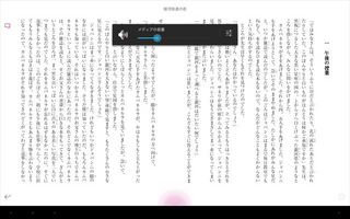 Screenshot_2013-04-27-13-21-35_R.jpg